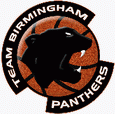 BirminghamPanthers