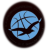 https://img.nwprc.net/img/basketball/team/1a45d903dafdcc026ec9809d9916a681.png