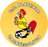 https://img.nwprc.net/img/football/team/63b0933cc303927659846a4ed54b1522.png