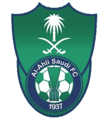 https://img.nwprc.net/img/football/team/f33846605b005f6b139e9c9f1d9feeef.png